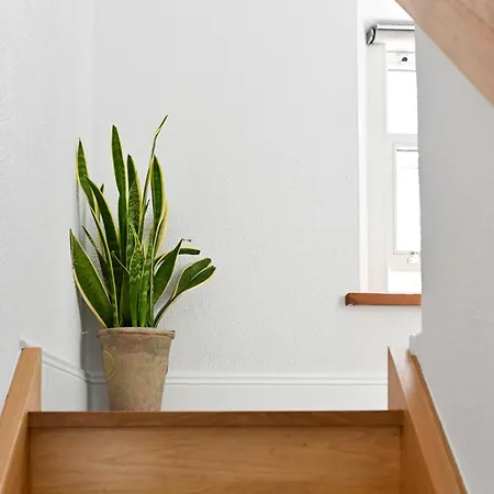 度假居 The Row In Town 韦斯特波特