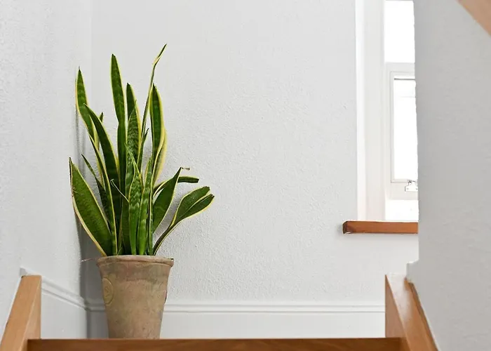 Дом отдыха The Row In Town Вэстпорт